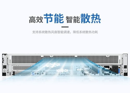 浪潮CS5260H2服務(wù)器 搭載海光5380處理器，高性能存儲(chǔ)配置，網(wǎng)絡(luò)技術(shù)服務(wù)方案解析