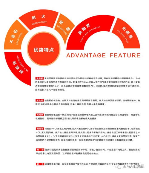天虹線纜 助力傳統(tǒng)村落煥新顏，守護(hù)黔溪村電氣安全